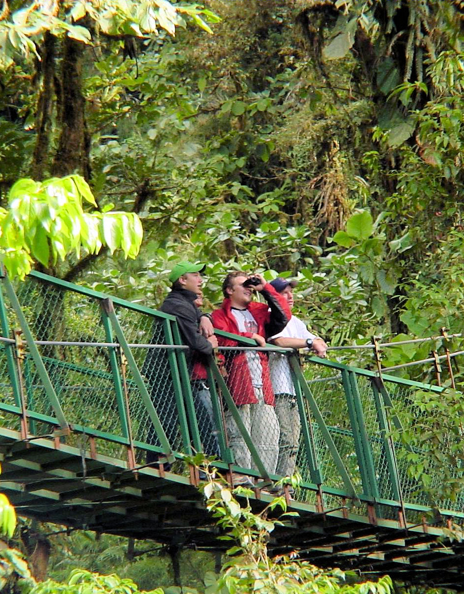 Rainforest  expedition and Banana Plantation Tour